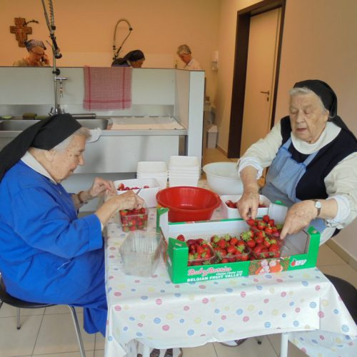 Strawberry-Apricot - Image 3