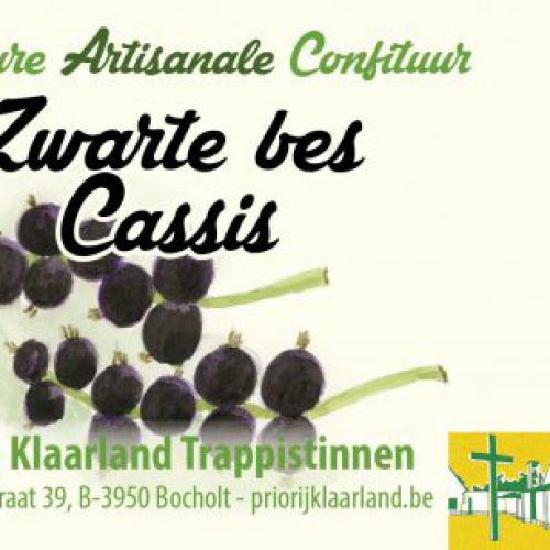 Blackcurrant - Image 3